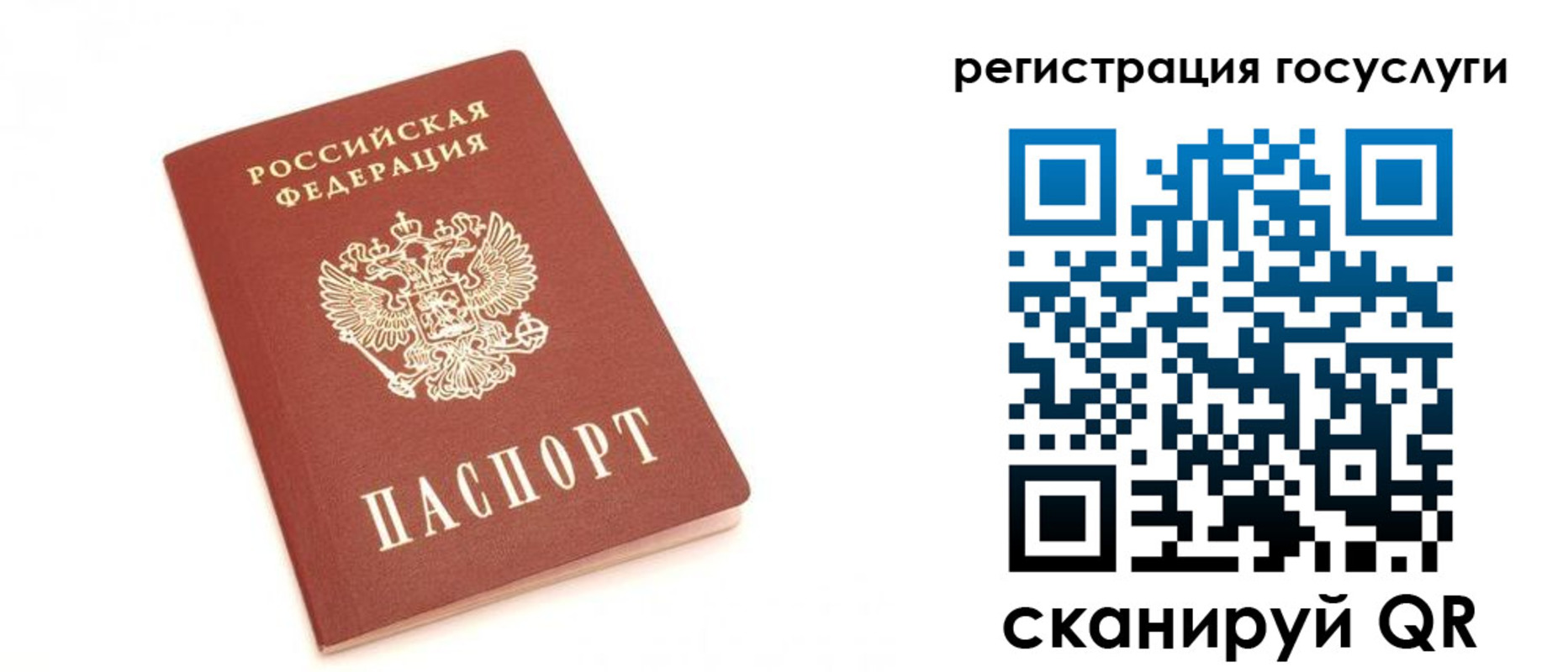 прописка для школы в Киселёвске